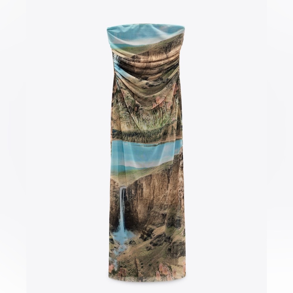Zara Printed Tulle Dress